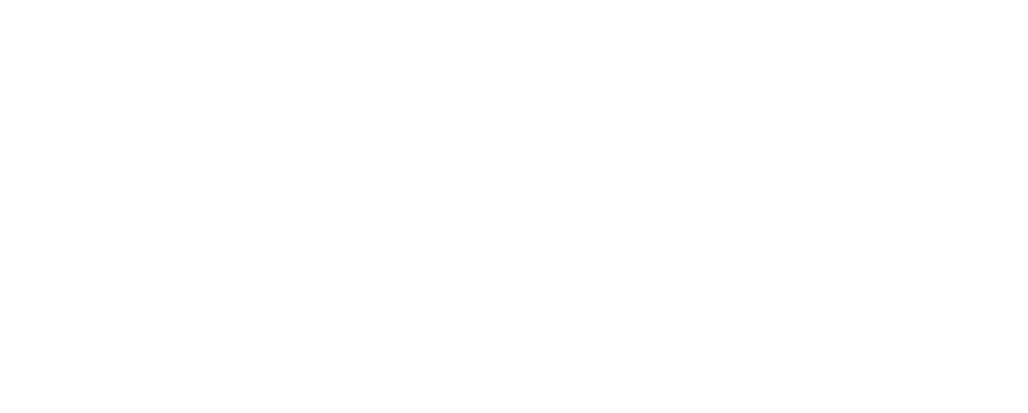 echo studio la logo